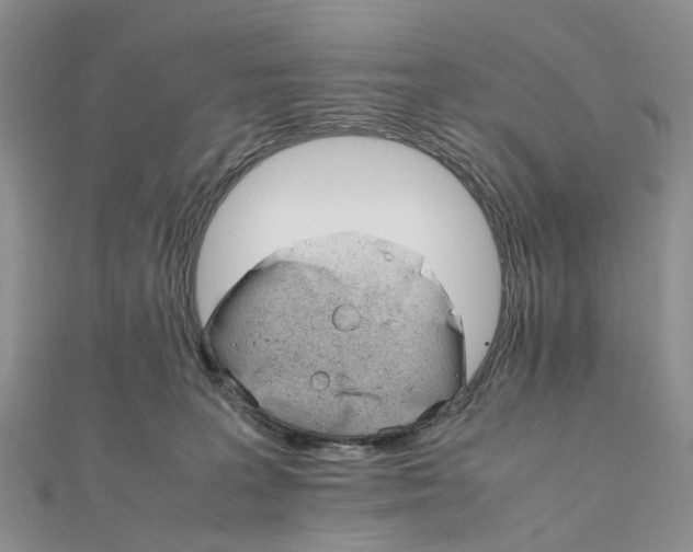 X0000111680227200907311226