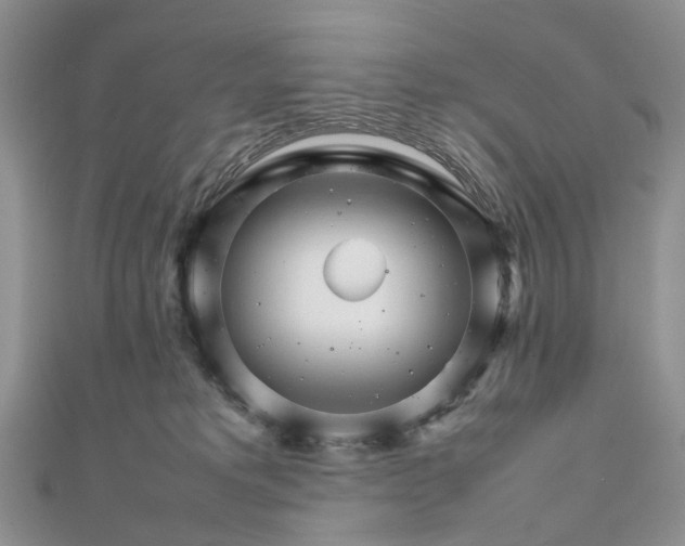 X0000111680229200907311226