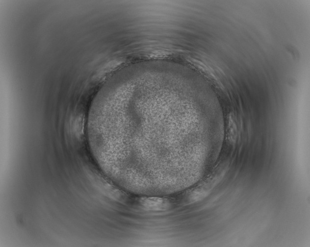 X0000111680230200907311226