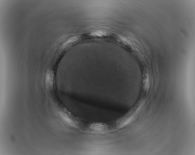 X0000111680231200907311226