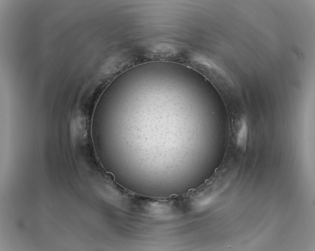 X0000111680232200907311226