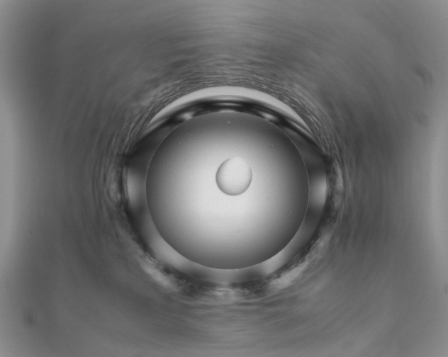 X0000111680233200907311226