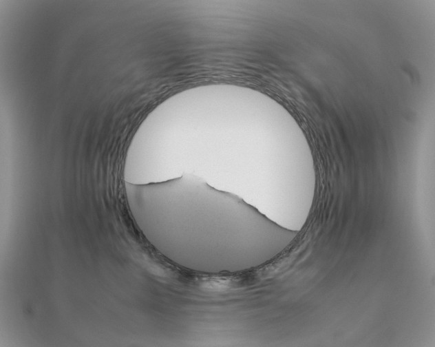 X0000111680235200907311226