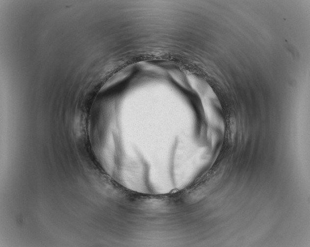 X0000111680236200907311226