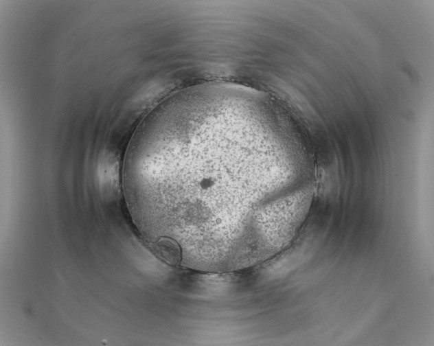 X0000111680238200907311226