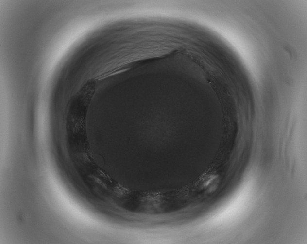 X0000111680239200907311226