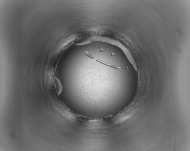 X0000111680240200907311226