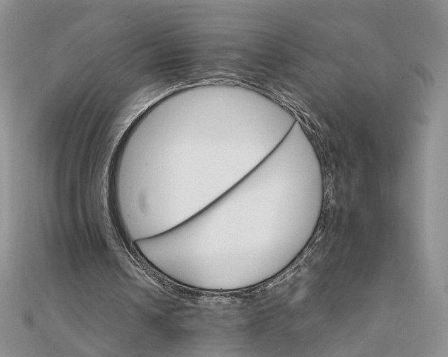 X0000111680242200907311225