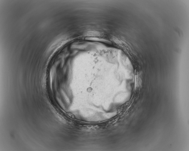 X0000111680243200907311225