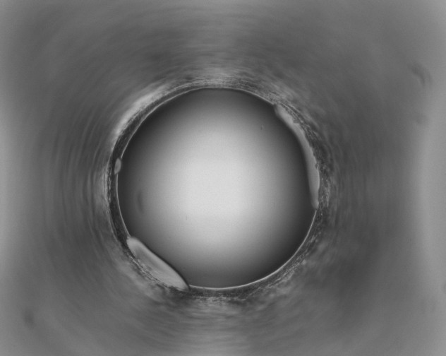 X0000111680244200907311225