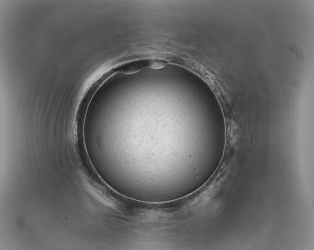 X0000111680246200907311225