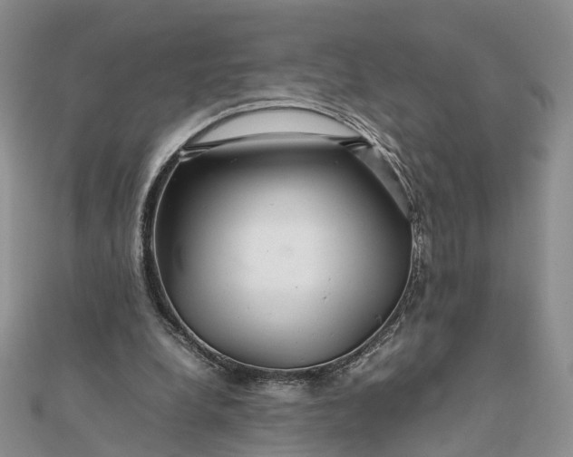 X0000111680248200907311225