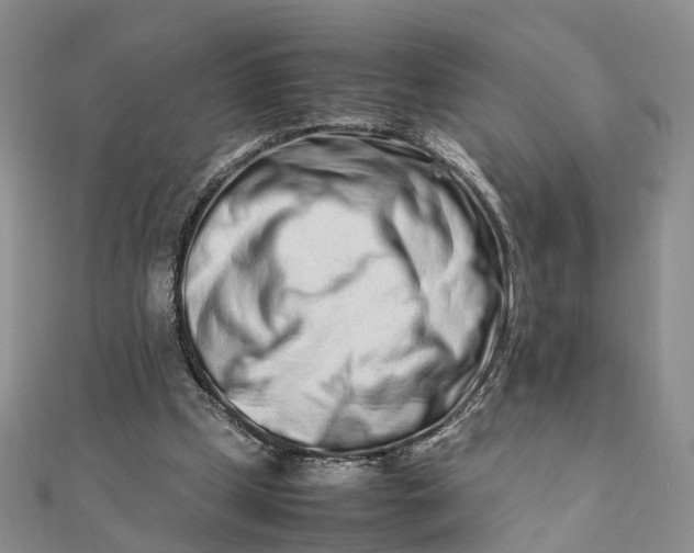 X0000111680249200907311225