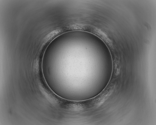 X0000111680250200907311225