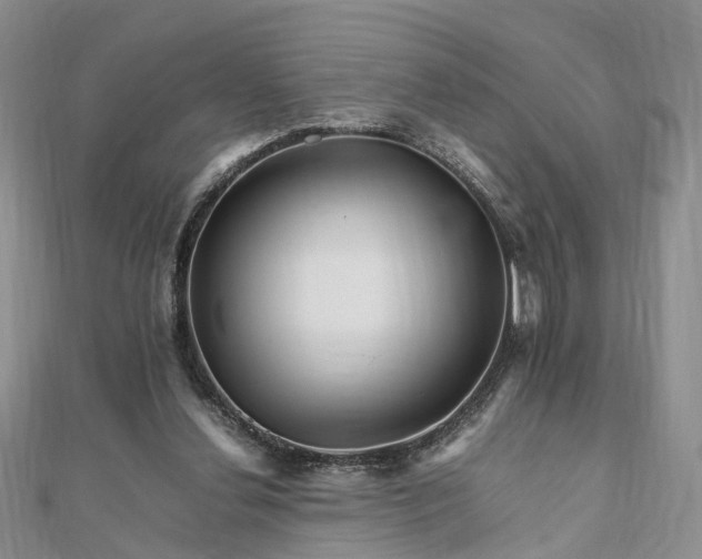 X0000111680252200907311225