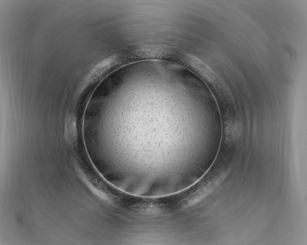 X0000111680254200907311225