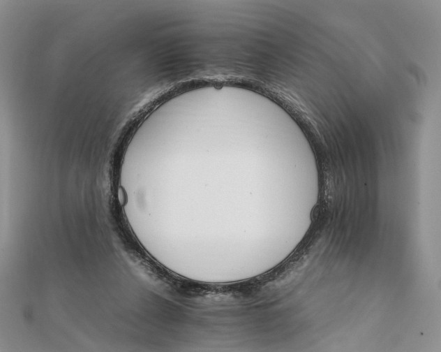 X0000111680256200907311225