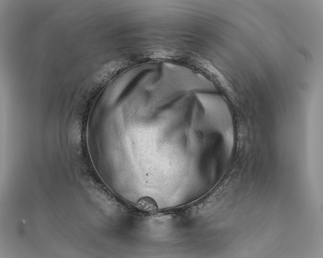 X0000111680257200907311225