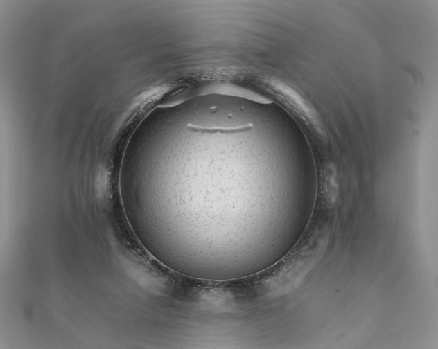 X0000111680258200907311226