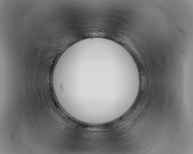 X0000111680259200907311226