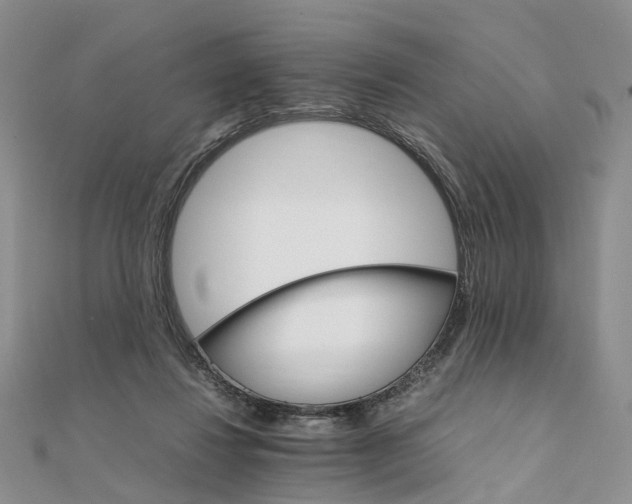 X0000111680260200907311226