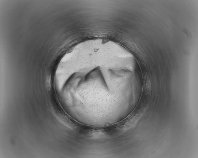 X0000111680262200907311226