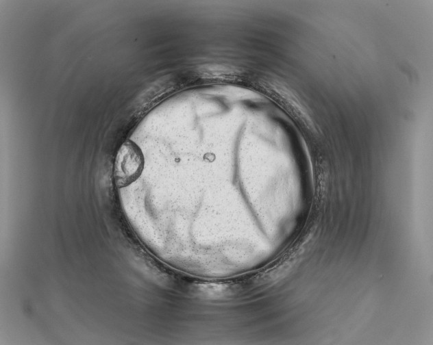 X0000111680265200907311226