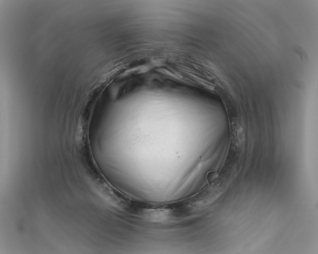 X0000111680266200907311226