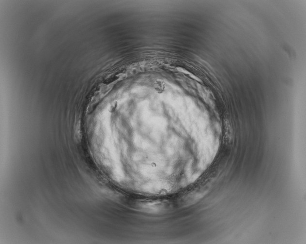 X0000111680267200907311226