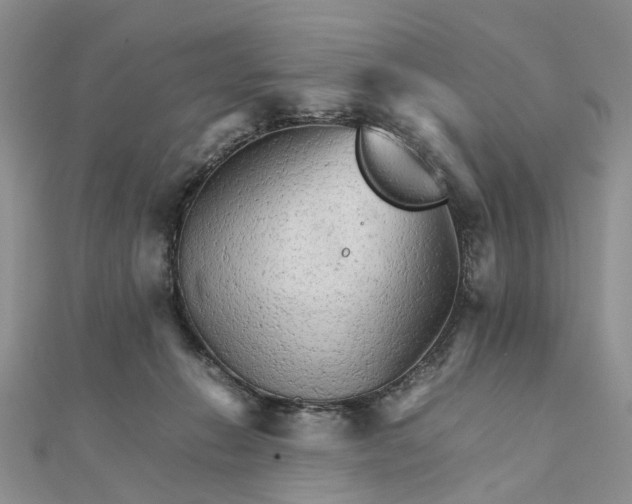 X0000111680270200907311226