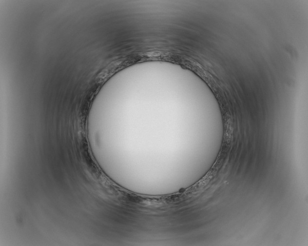 X0000111680272200907311226