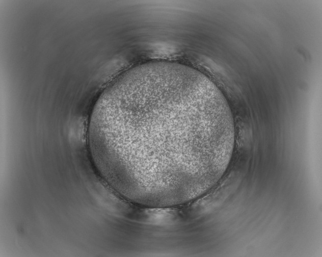 X0000111680273200907311226