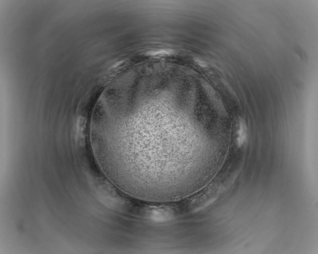 X0000111680275200907311226