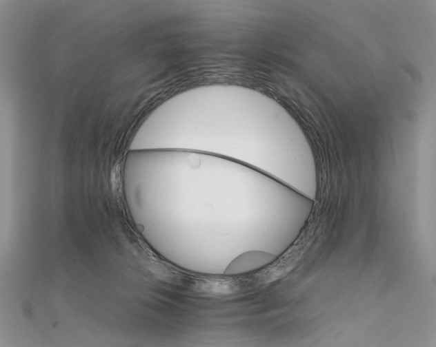 X0000111680276200907311226