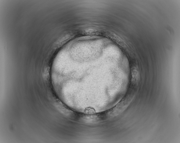 X0000111680278200907311226