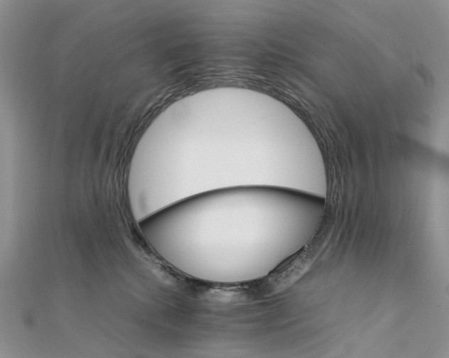 X0000111680280200907311226