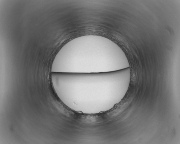 X0000111680282200907311226