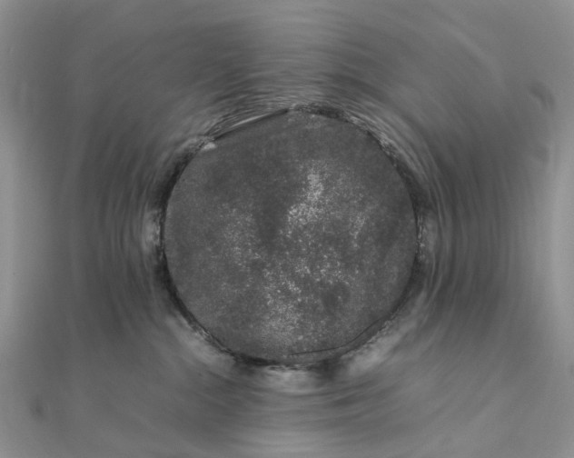 X0000111680284200907311226