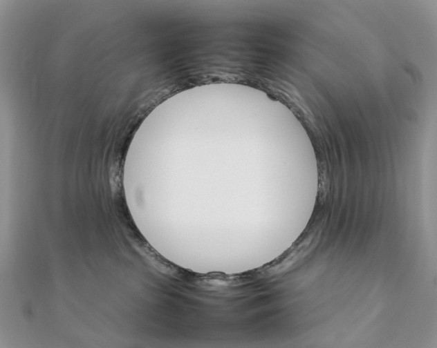 X0000111680285200907311226