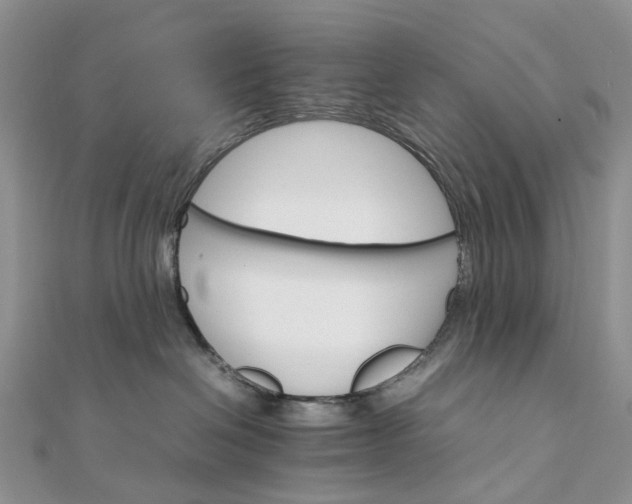 X0000111680286200907311226