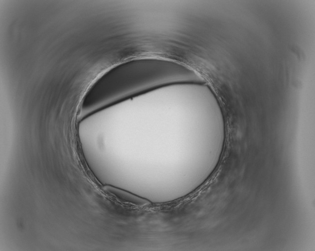 X0000111680289200907311225