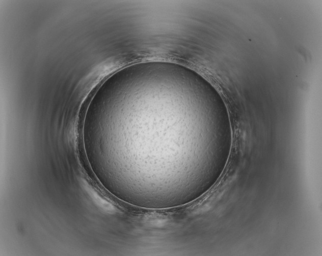 X0000111680290200907311225