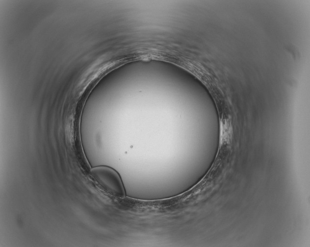 X0000111680291200907311225