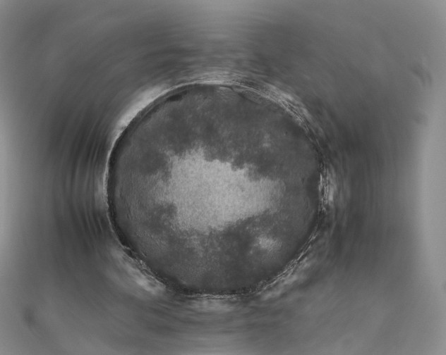 X0000111680292200907311225