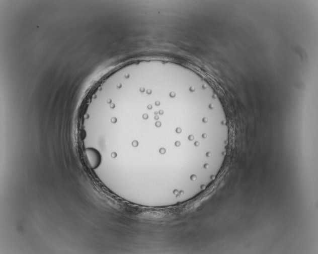 X0000111680294200907311225