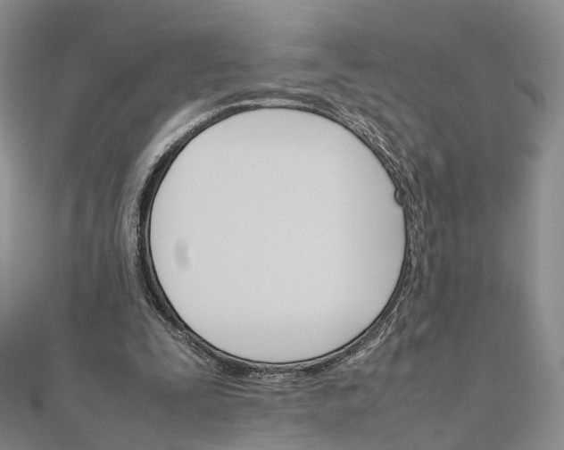 X0000111680295200907311225