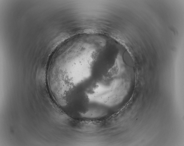 X0000111680297200907311225