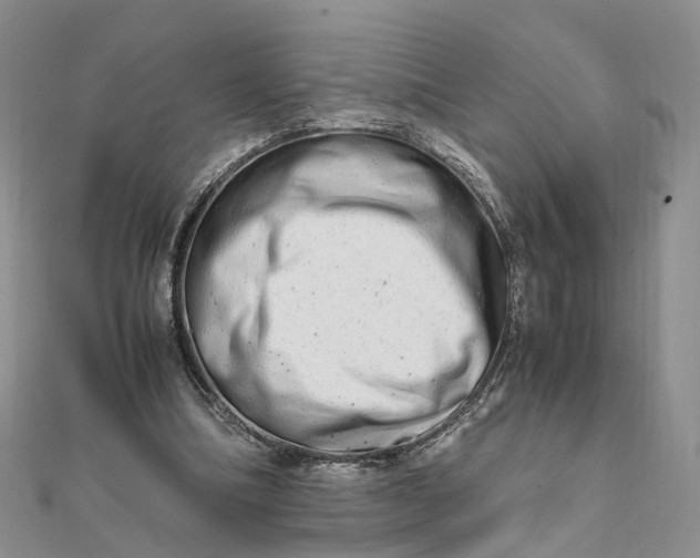 X0000111680298200907311225