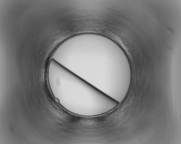 X0000111680299200907311225