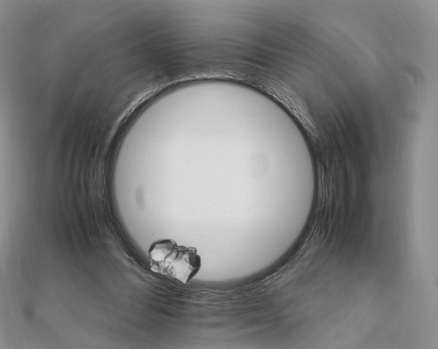 X0000111680300200907311225